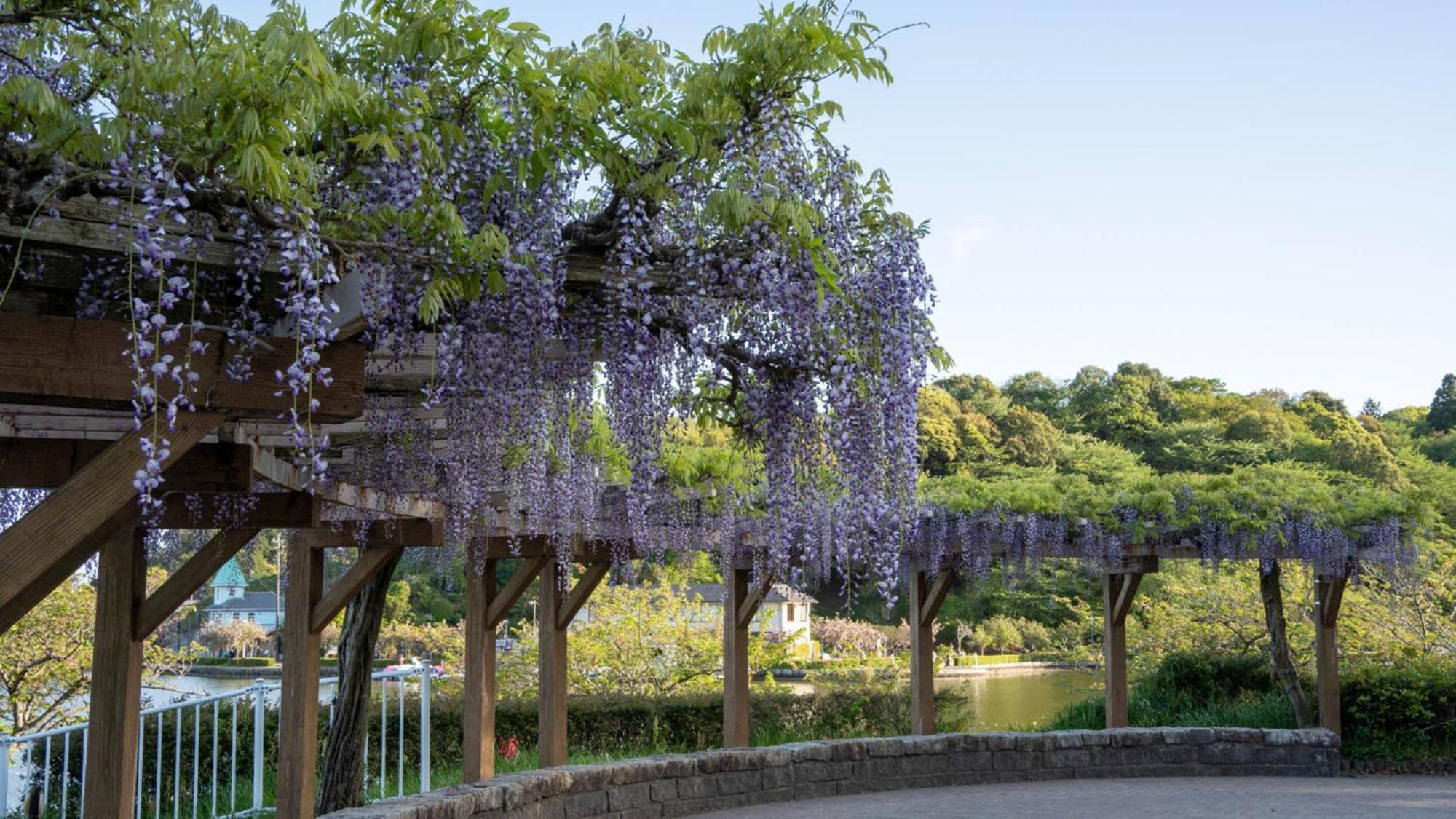 Toyoko Inn Shizuoka Fujieda Eki Kita Guchi Esterno foto